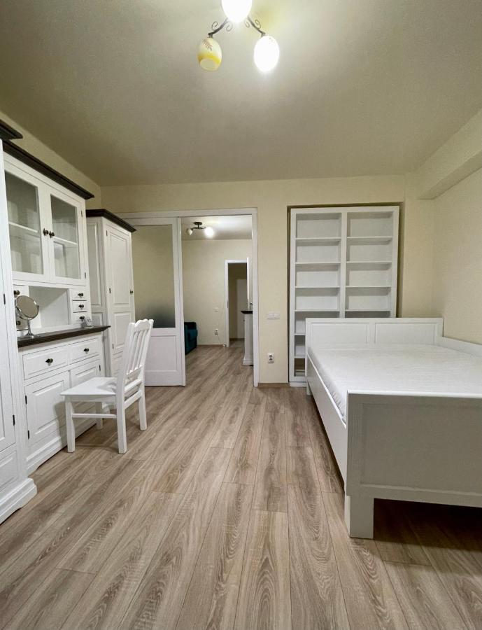 Cozy Central One Bedroom Κλουζ-Ναπόκα Εξωτερικό φωτογραφία