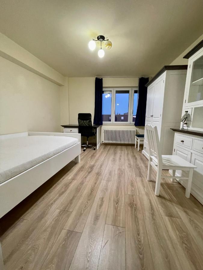 Cozy Central One Bedroom Κλουζ-Ναπόκα Εξωτερικό φωτογραφία
